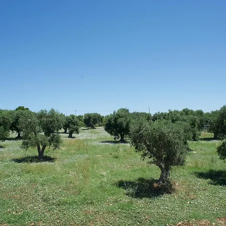 Trullo Maddy Cisternino