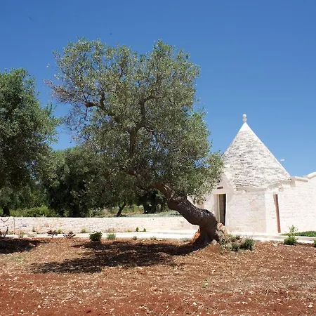 Trullo Maddy *