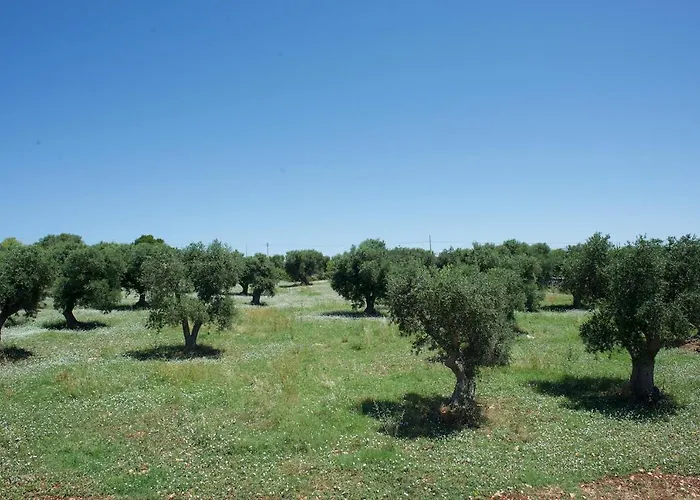 Trullo Maddy Cisternino